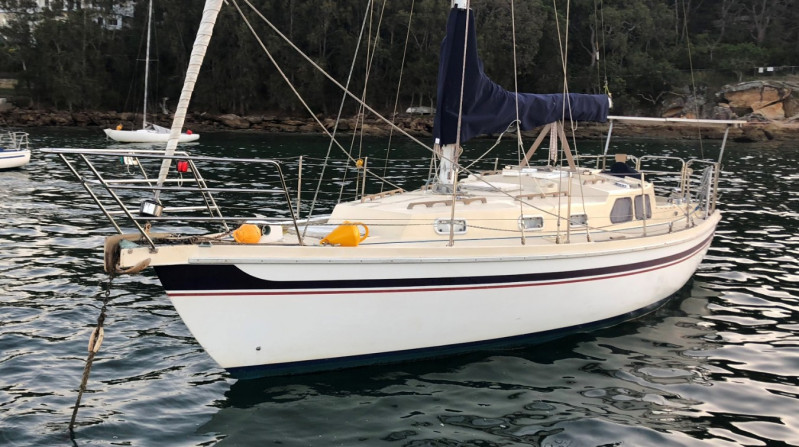 Arends 33 Arends 33