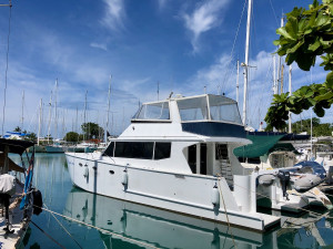 48' Aluminium Power Catamaran