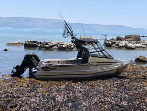 Stabicraft 1850 Fisher Sportfish + 135hp Mercury Fourstroke In Stock Now