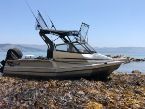 Stabicraft 1850 Fisher Sportfish + 135hp Mercury Fourstroke In Stock Now